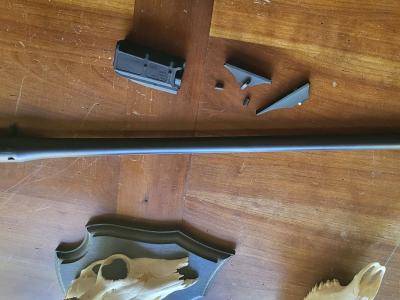 Canon Blaser r8