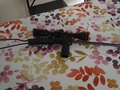 22 lr little badger canon 18"5