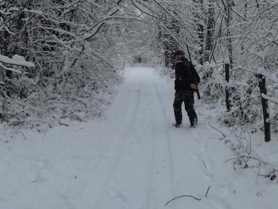 cherche actionnaires chasse aux pigeons