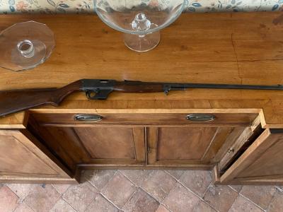 Carabine 22lr « unique » modele x51