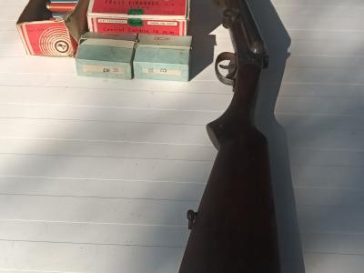 Carabine de chasse