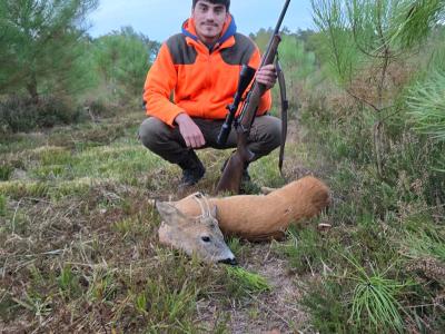 CHASSE A L’ARC - CHASSE A TIR - Saison 2025-2026 - AFFÛT ET APPROCHE aux grands gibiers, en FORET DOMANIALE DE BERCE, département 72, sur un territoire de 1100 hectares
