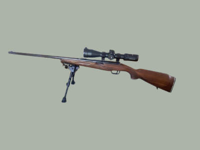 Carabine REINA 450