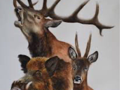 Bague de Daguet et biche