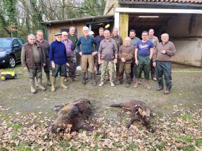 Action de chasse sanglier  plus ,possibilité chevreuil
