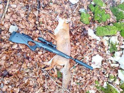 Lunette steiner ranger 4 1-4x24