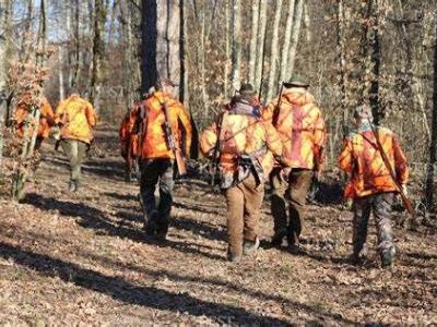 Action chasse Grand gibier en semaine
