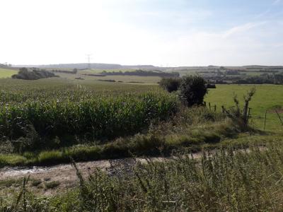Plaine de chasse en Pays d'Opale