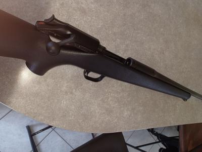 Blaser r93