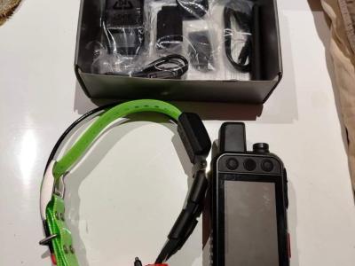 Garmin Alpha 300i avec le collier TT25