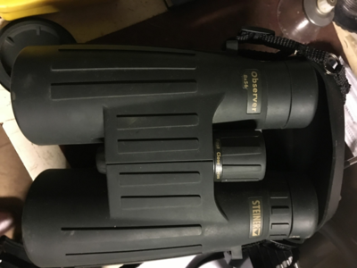 jumelles 8x56