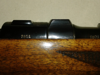 Steyr Manlicher GK 7 X 64