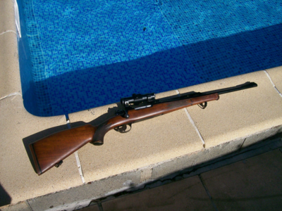 carabine 300 wing mag