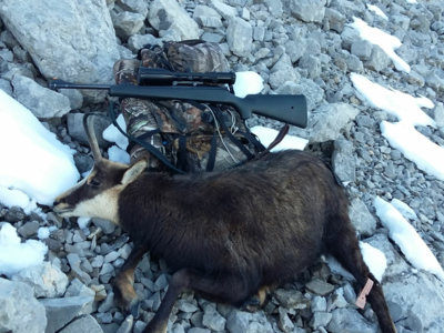 Cherche et Achète Express en 375H&H, Drilling en 20 et BLASER S2 ou D99
