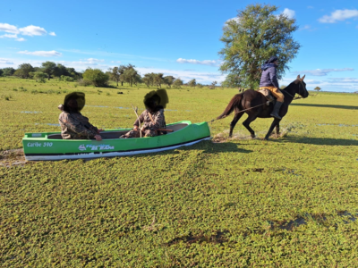 Chasse en Argentine