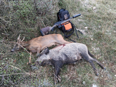 Beretta BRX1 RANCH en 308 Winchester