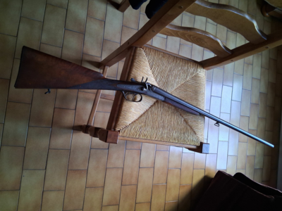 Juxtaposé à chien en calibre 24