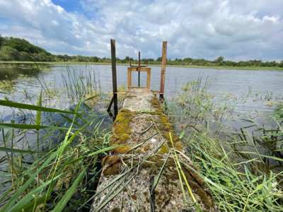 Propriété de chasse en Brenne (36)