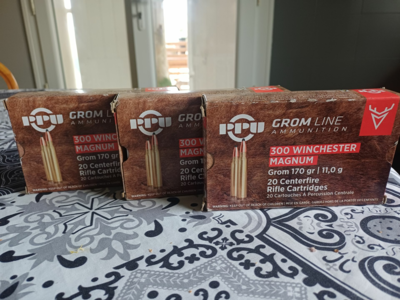 Munitions PARTIZAN GROM 170gr-11.0G calibre 300 WIN MAG