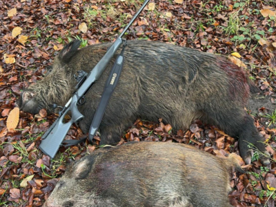 Je recherche un chargeur 4 balles pour carabine Sauer 404 300 win Mag