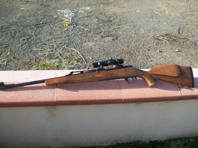 carabine 300 wing mag