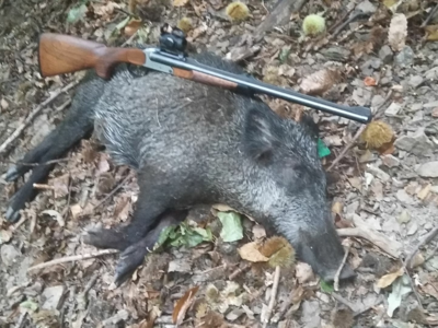 Vends un Express Blaser S2 en 9,3X74R