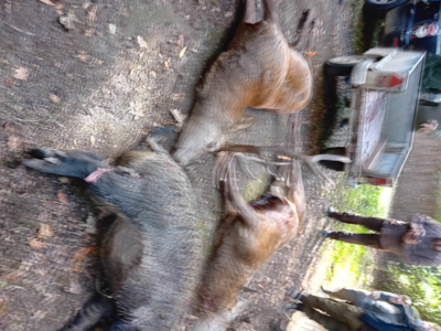 Recherche actionnaires