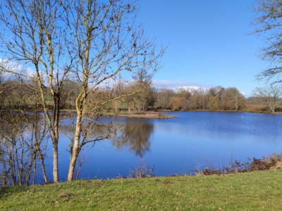 Domaine de 9.4 ha avec étang de 3 ha – Bâti important - Fort potentiel pêche / chasse
