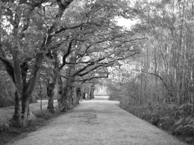 territoire de chasse au grand gibier - 140 ha