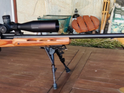 Remington 700 Sendero calibre 270W