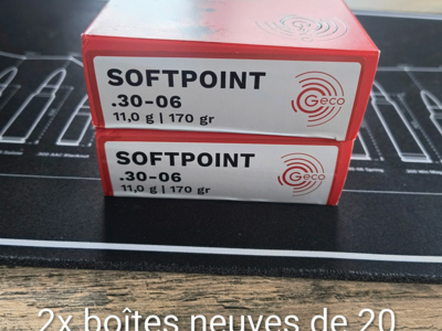Lot de Geco Softpoint cal. 30-06 11.0g / 170 gr