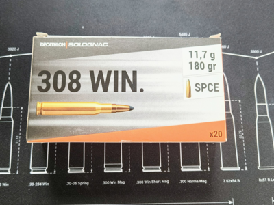 Solognac SPCE .308 11,7g / 180gr