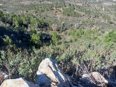 Monteria Castilla la mancha