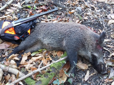 Cherche un DRILLING BLASER D99 en 8X57JRS