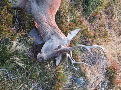 Tombola Acca de BOutx