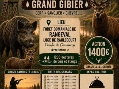 Recherche partenaire