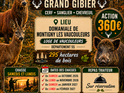 Recherche partenaire
