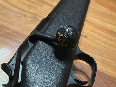 Blaser r93