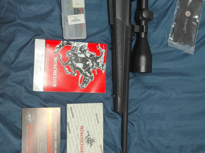 Carabine Winchester 308