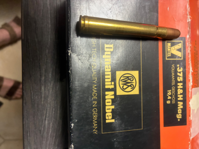Balles 375hh