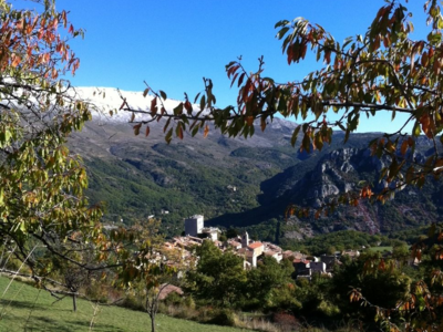 CARTE SAISON POUR CHASSER A CIPIERES (06)