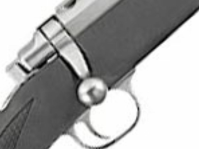 Recherche Carabine Ruger 22