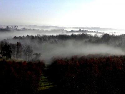 600 Hectares de Forêt en Périgord