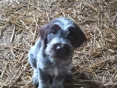 A vendre