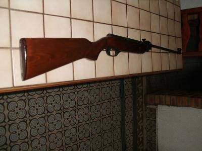 carabine neuve à plomb