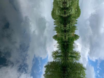 8 hectares de bois avec 2 étangs