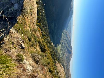 Carte grand gibier
