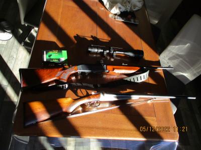 Carabine de chasse Remington