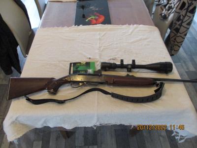 Carabine de chasse Remington
