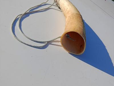 Corne de chasse